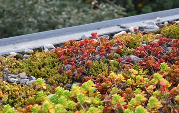 the cost of Halfway Houses green roof installation
