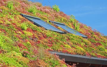 Halfway Houses living roof systems