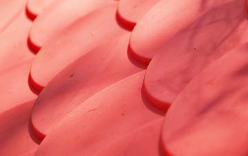 Halfway Houses plastic roof costs